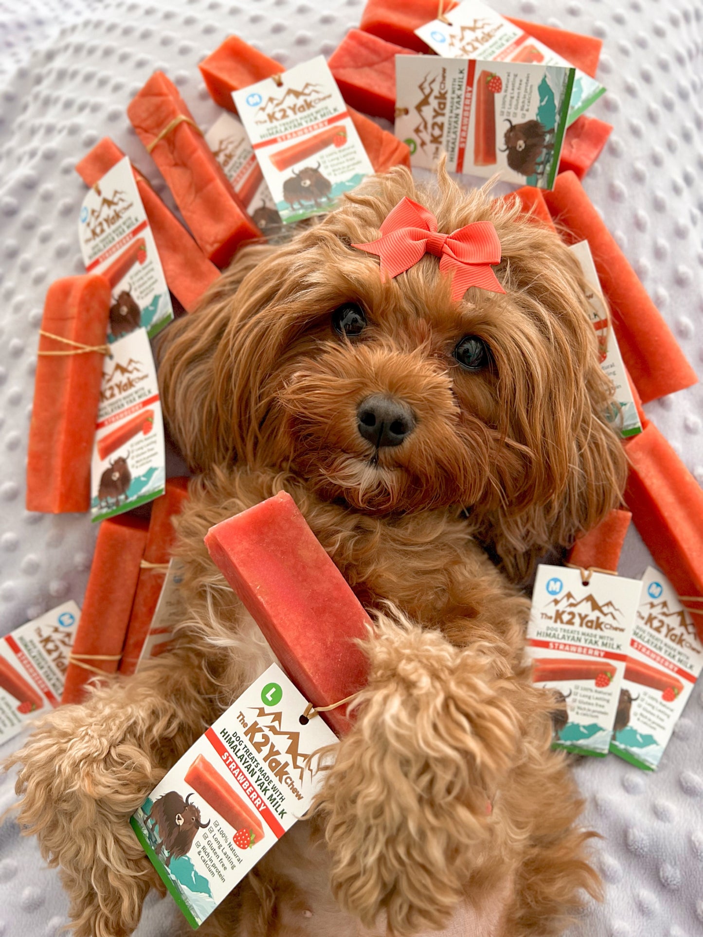 K2 Yak Chew – Strawberry Himalayan Yak Chew (Medium)
