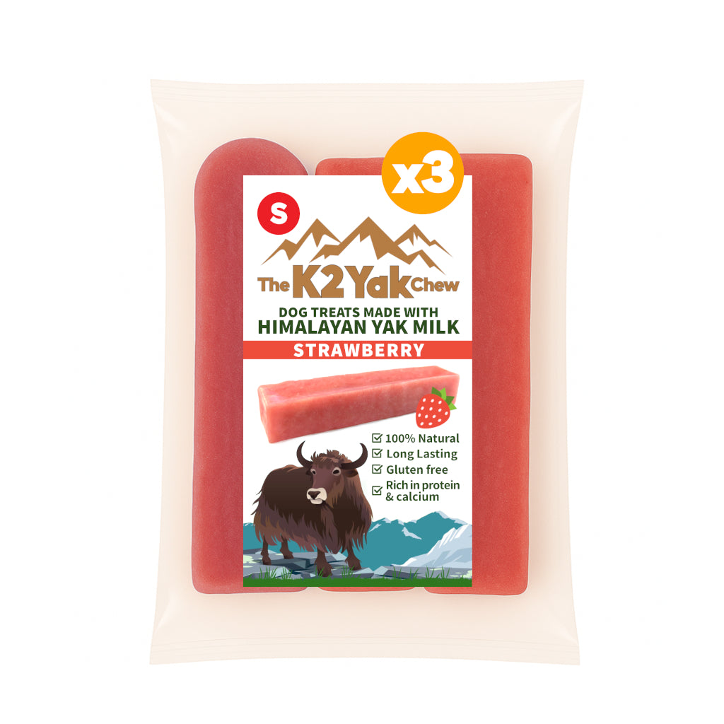 K2 Yak Chew – Strawberry Himalayan Yak Chew (Small)