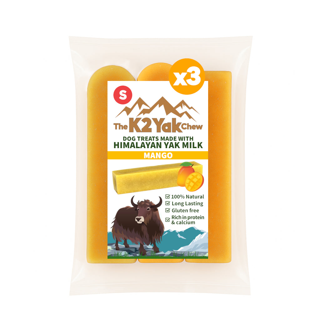 K2 Yak Chew – Mango Himalayan Yak Chew (Small)