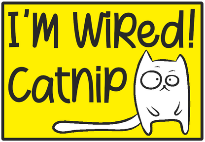 I'm Wired Catnip Seeds – Nepeta Cataria (x500 Seeds)