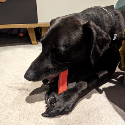 K2 Yak Chews Dog Treats Strawberry Small