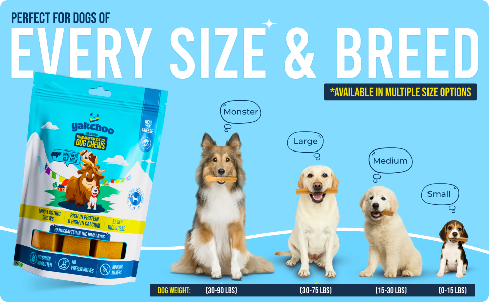 Yakchoo Himalayan Yak Cheese Dog Chews - Medium 70g - Blueberry Coconut & Mango 3 Pk