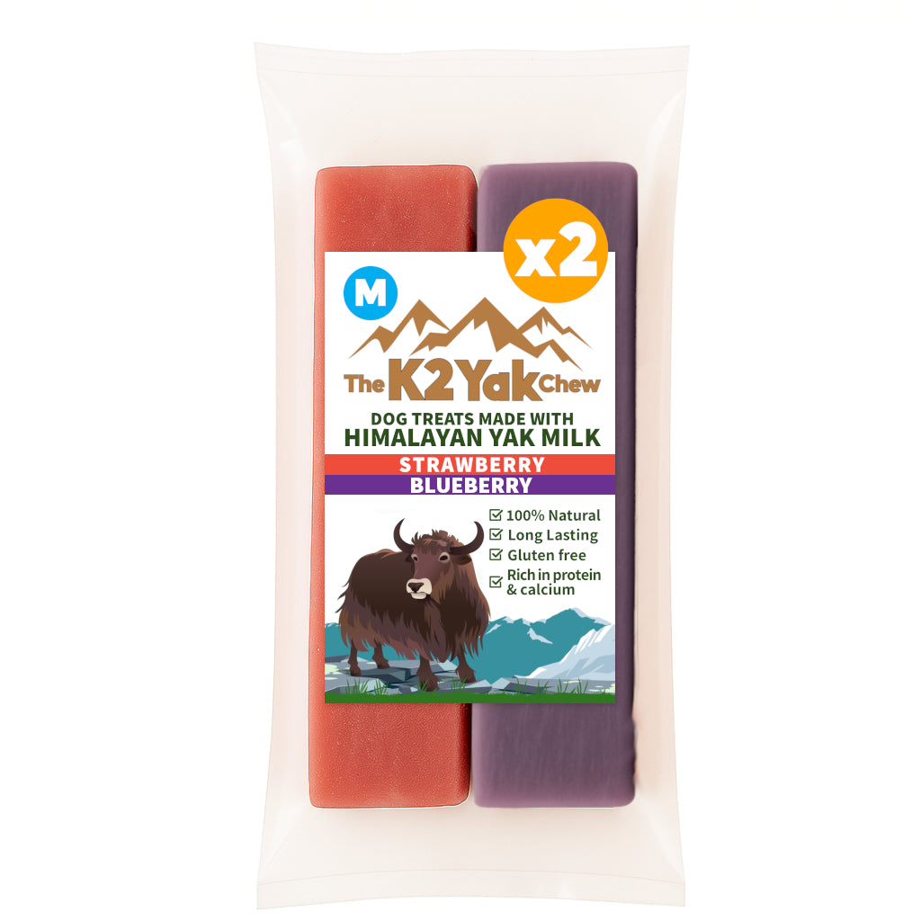K2 Yak Chew Fruit Duo 2 Pack Medium — Strawberry & Blueberry