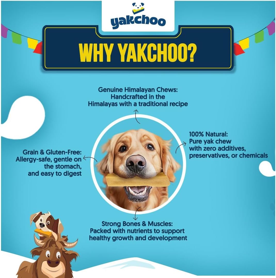 Yakchoo Himalayan Yak Cheese Dog Chews - Medium 70g - Blueberry Coconut & Mango 3 Pk