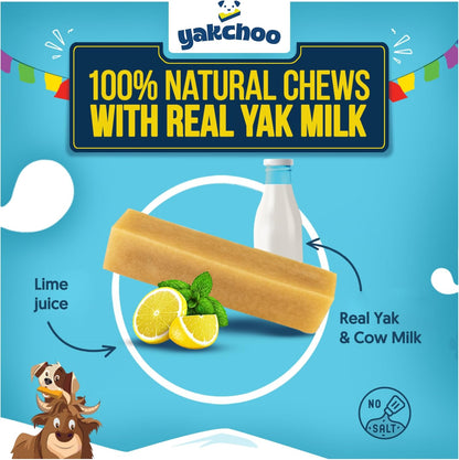 Yakchoo Himalayan Yak Cheese Dog Chews – Large 130g - 2 or 3 Packs