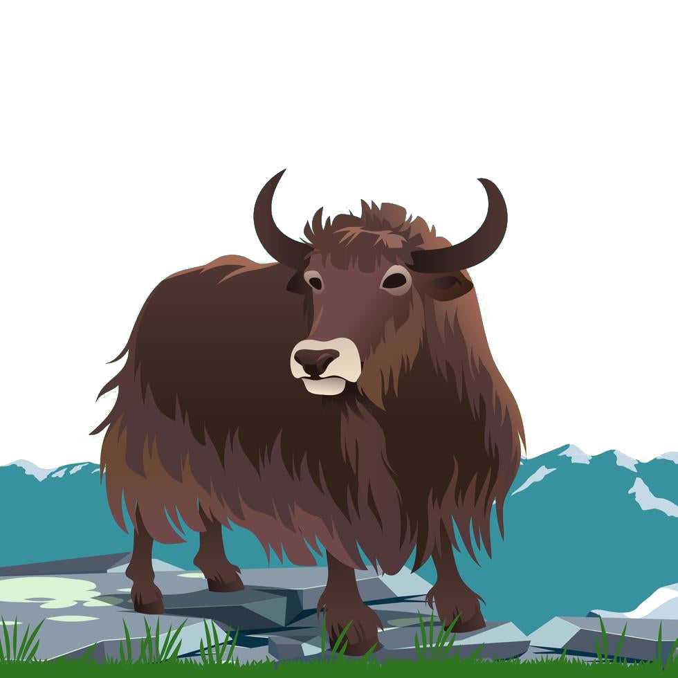 K2 Yak Chew – Original Himalayan Yak Chew (XX-Large JUMBO)