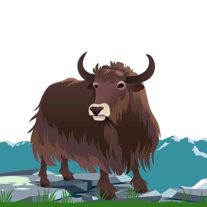 K2 Yak Chew – Original Himalayan Yak Chew (XX-Large JUMBO)