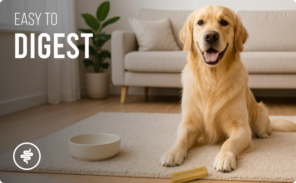 Yakchoo Himalayan Yak Cheese Dog Chews - Medium 70g - Blueberry Coconut & Mango 3 Pk