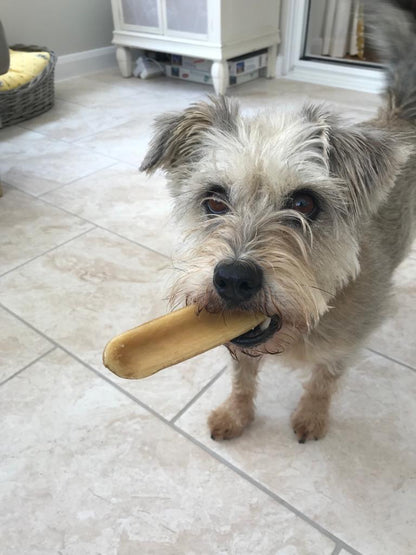 K2 Yak Chew – Mango Himalayan Yak Chew (Large)