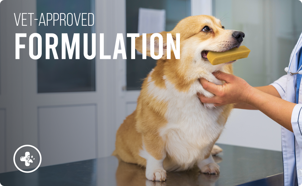 Yakchoo Himalayan Yak Cheese Dog Chews – Large 130g - 2 or 3 Packs