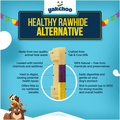 Yakchoo Himalayan Yak Cheese Dog Chews - Medium 70g - Blueberry Coconut & Mango 3 Pk