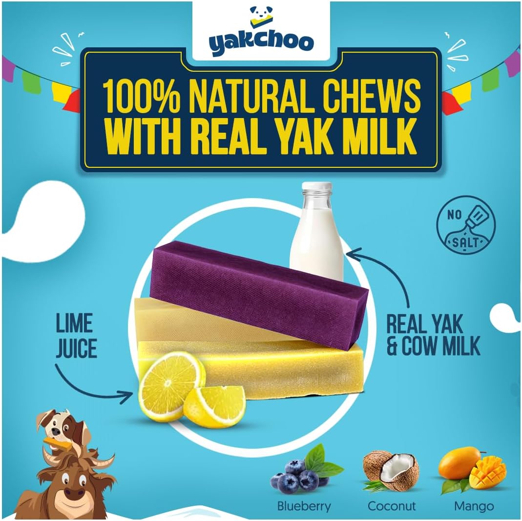 Yakchoo Himalayan Yak Cheese Dog Chews - Medium 70g - Blueberry Coconut & Mango 3 Pk